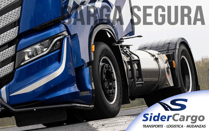 disponibilidad inmediata transporte terrestre internacional